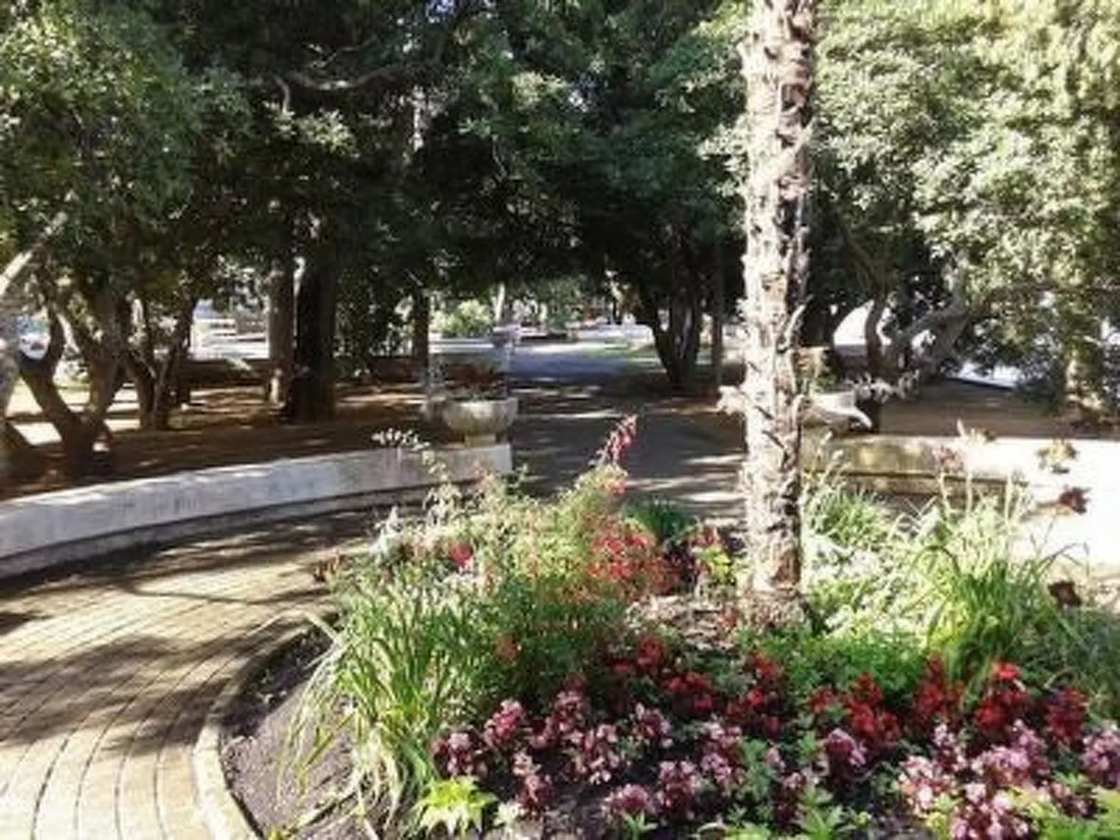 Ivanka2 - Image-tags.info