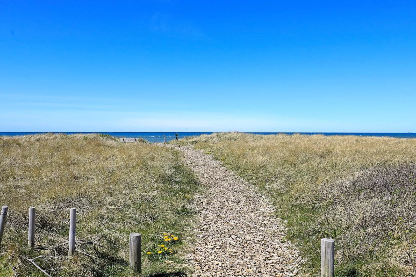 Seaside Sanctuary in Lonstrup-By Traum - Water view