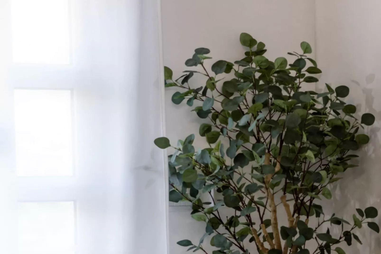 Villa Eden Dubrovnik - Six Bedroom Villa - Outdoor