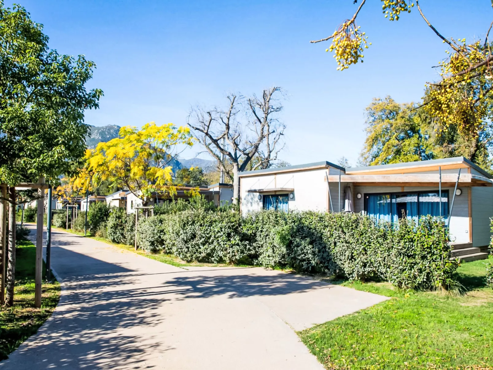 Lodge Natura 4p - Draußen