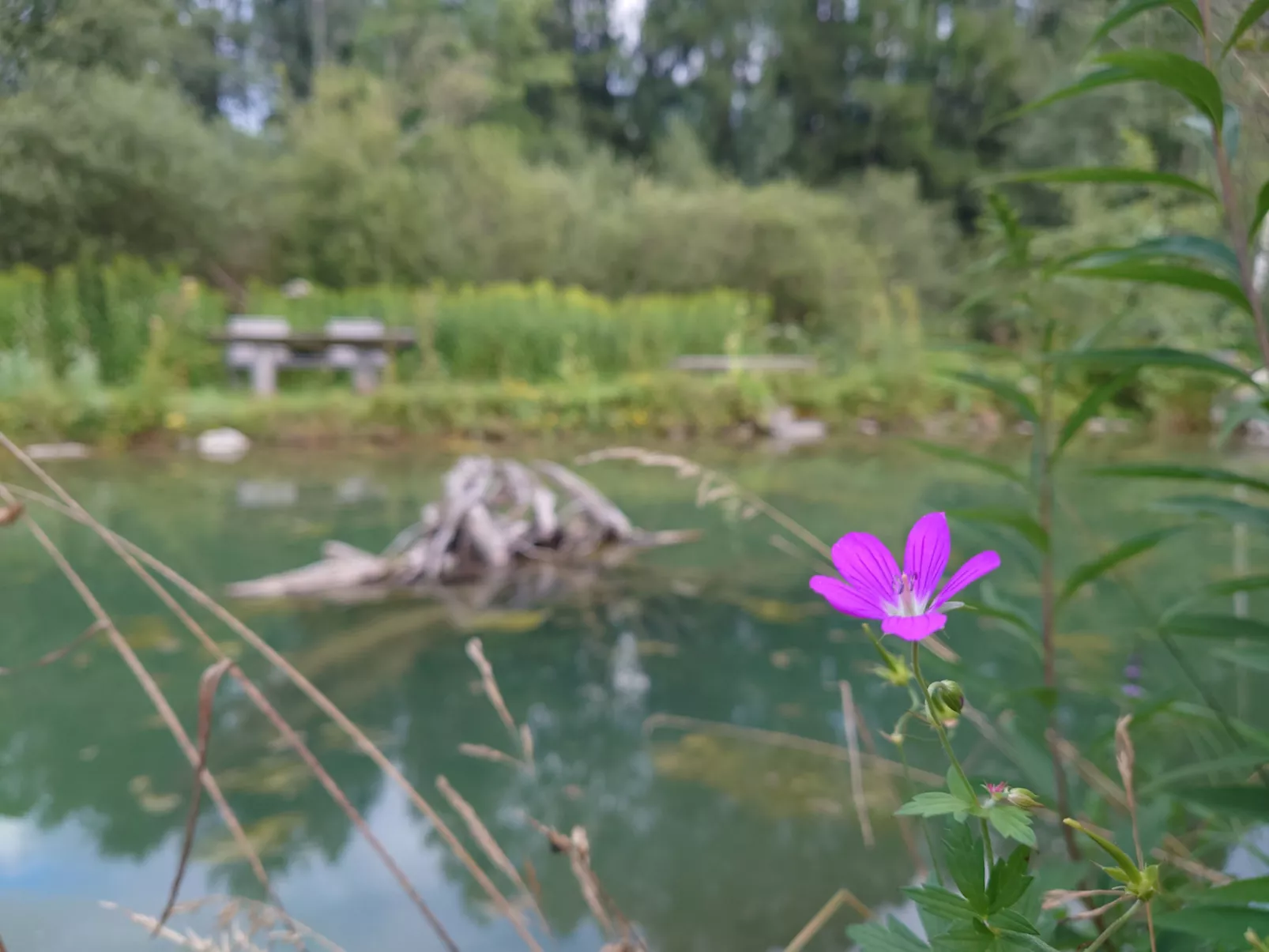 6_ALP - Samspitze 2 - Inside
