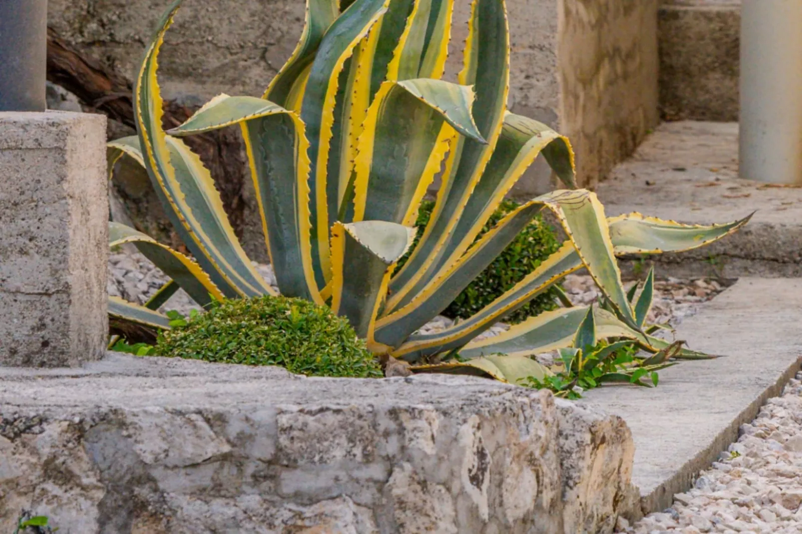 Villa Eden Dubrovnik - Six Bedroom Villa - Outdoor