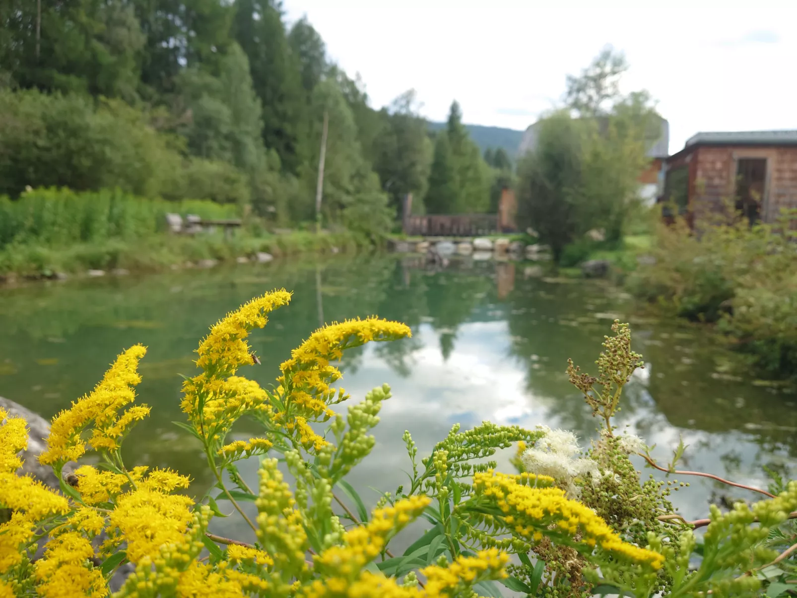 6_ALP - Samspitze 1 - Inside