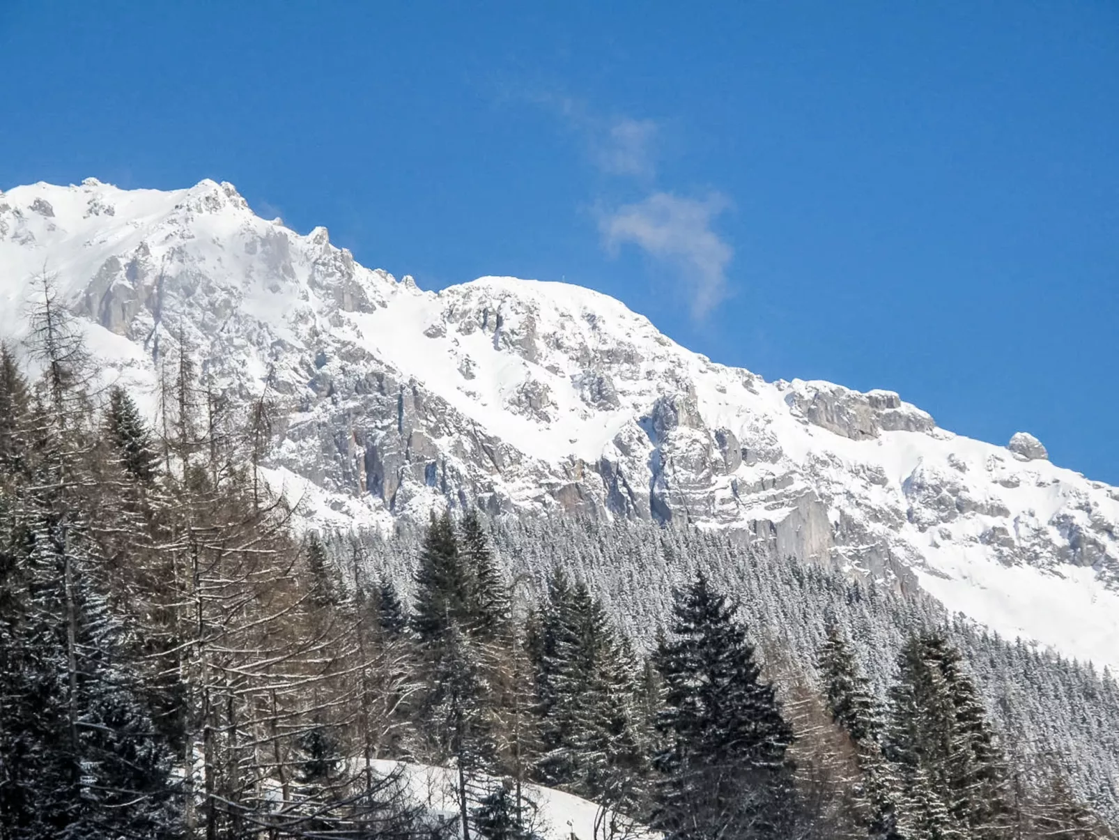 Knaushäusl - Draußen