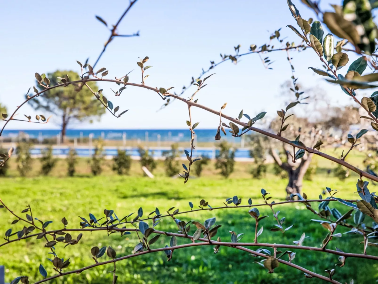 Lodge Premium 5p - Outside