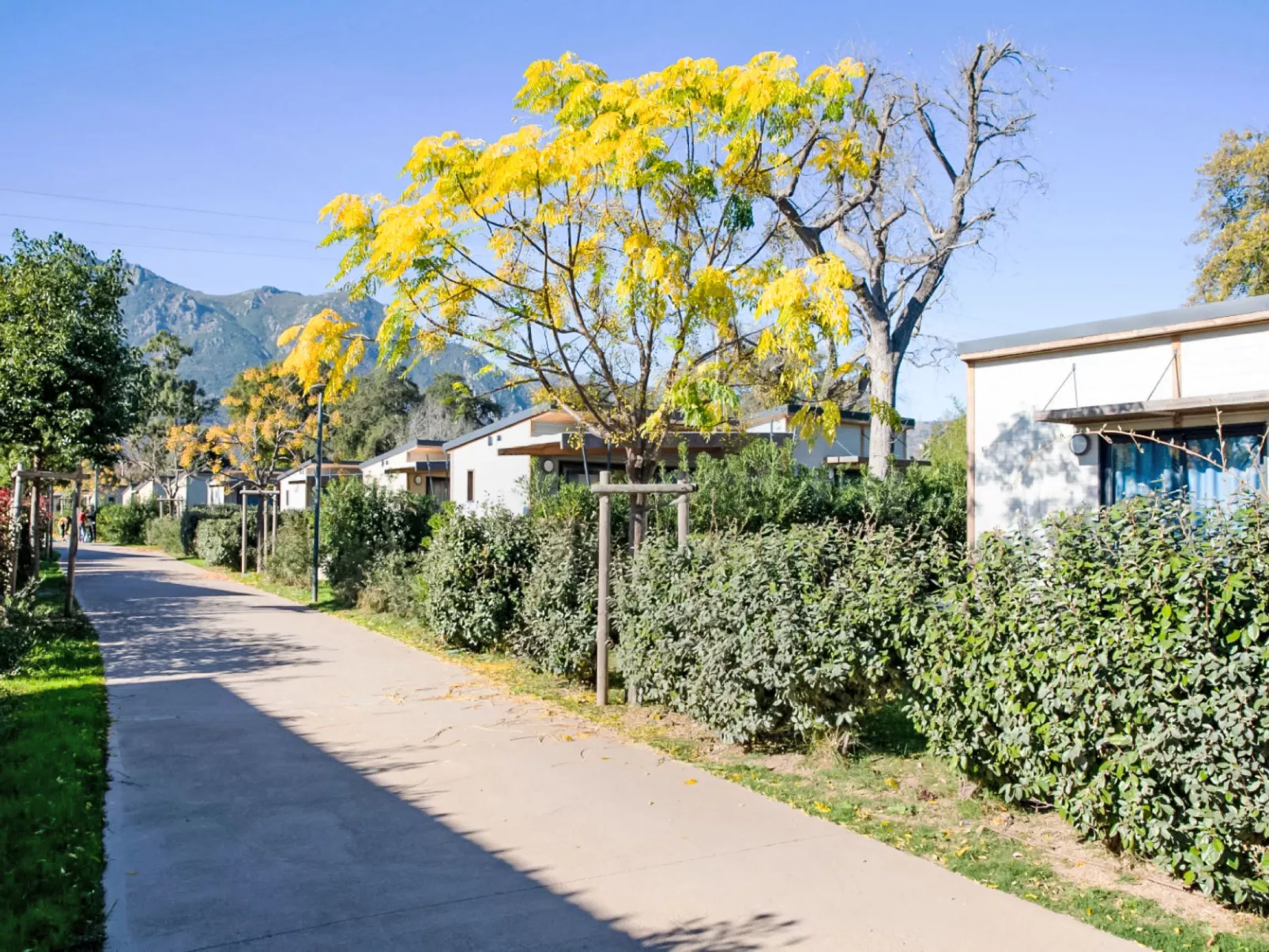 Lodge Natura 4p - Draußen