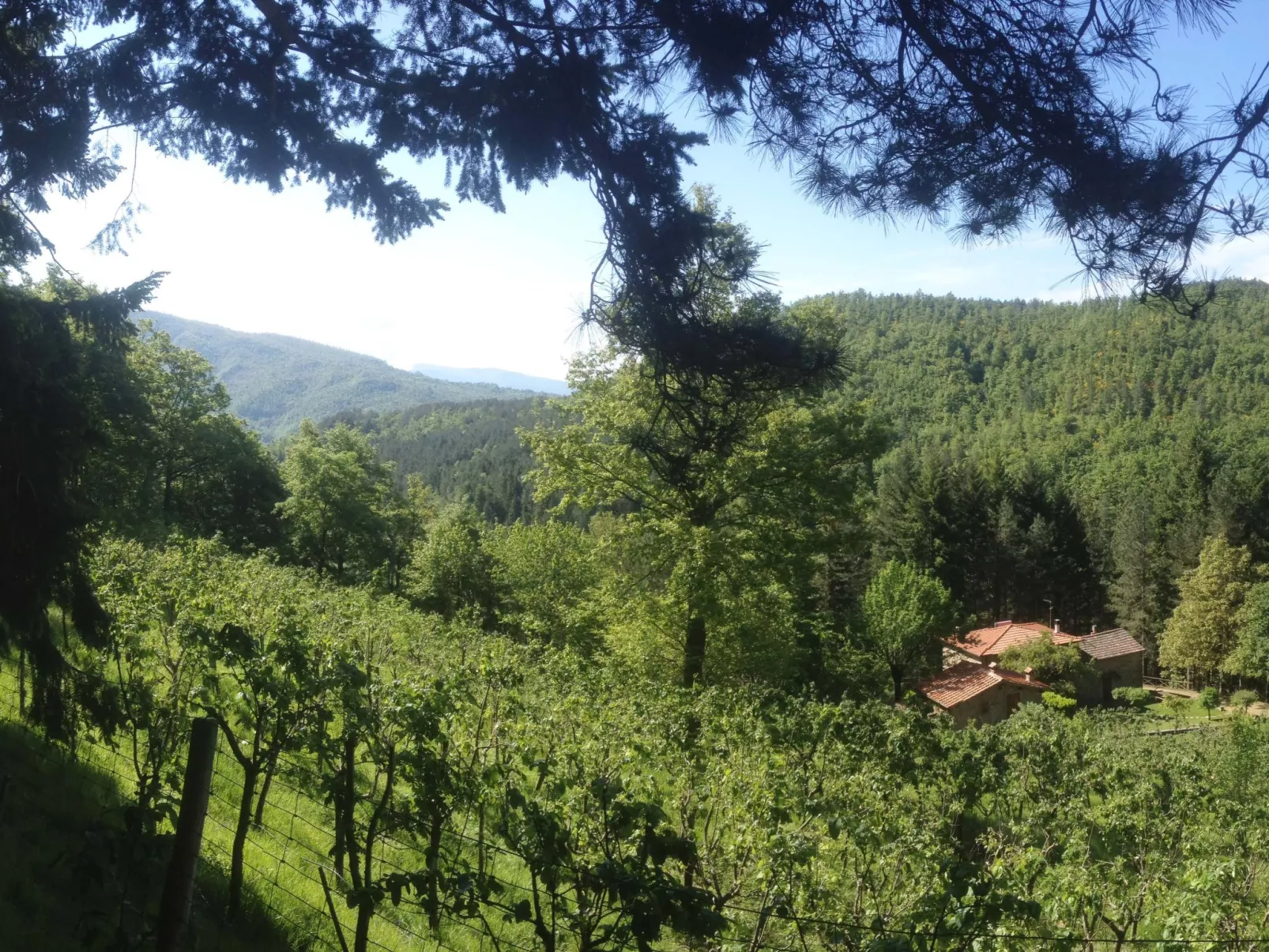 Maisonette-Ferienwohnung mit Garten - Image-tags.info