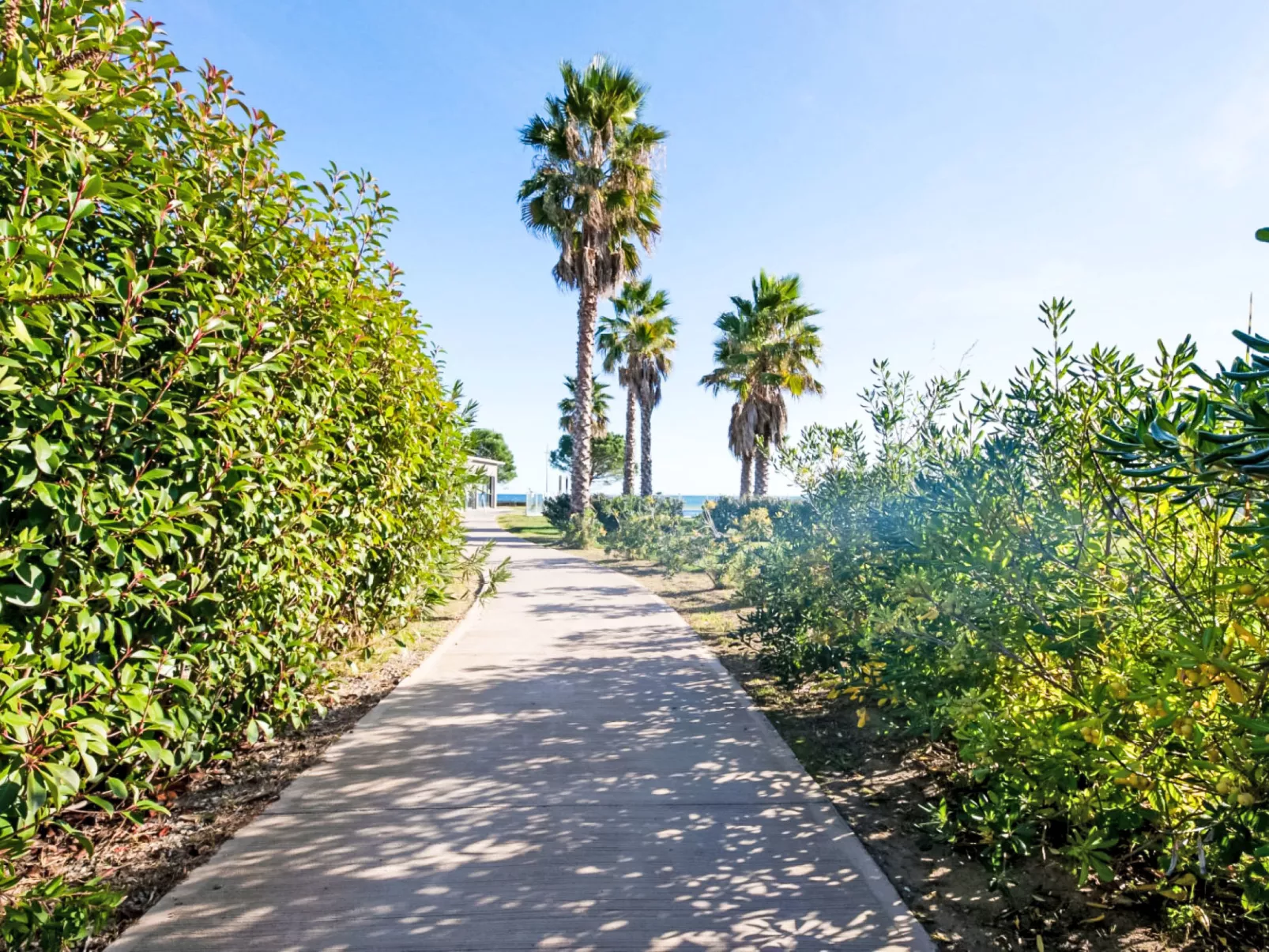 Lodge Premium 6p - Outside