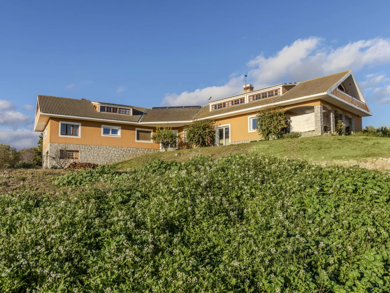 Finca el Olivar - Draußen