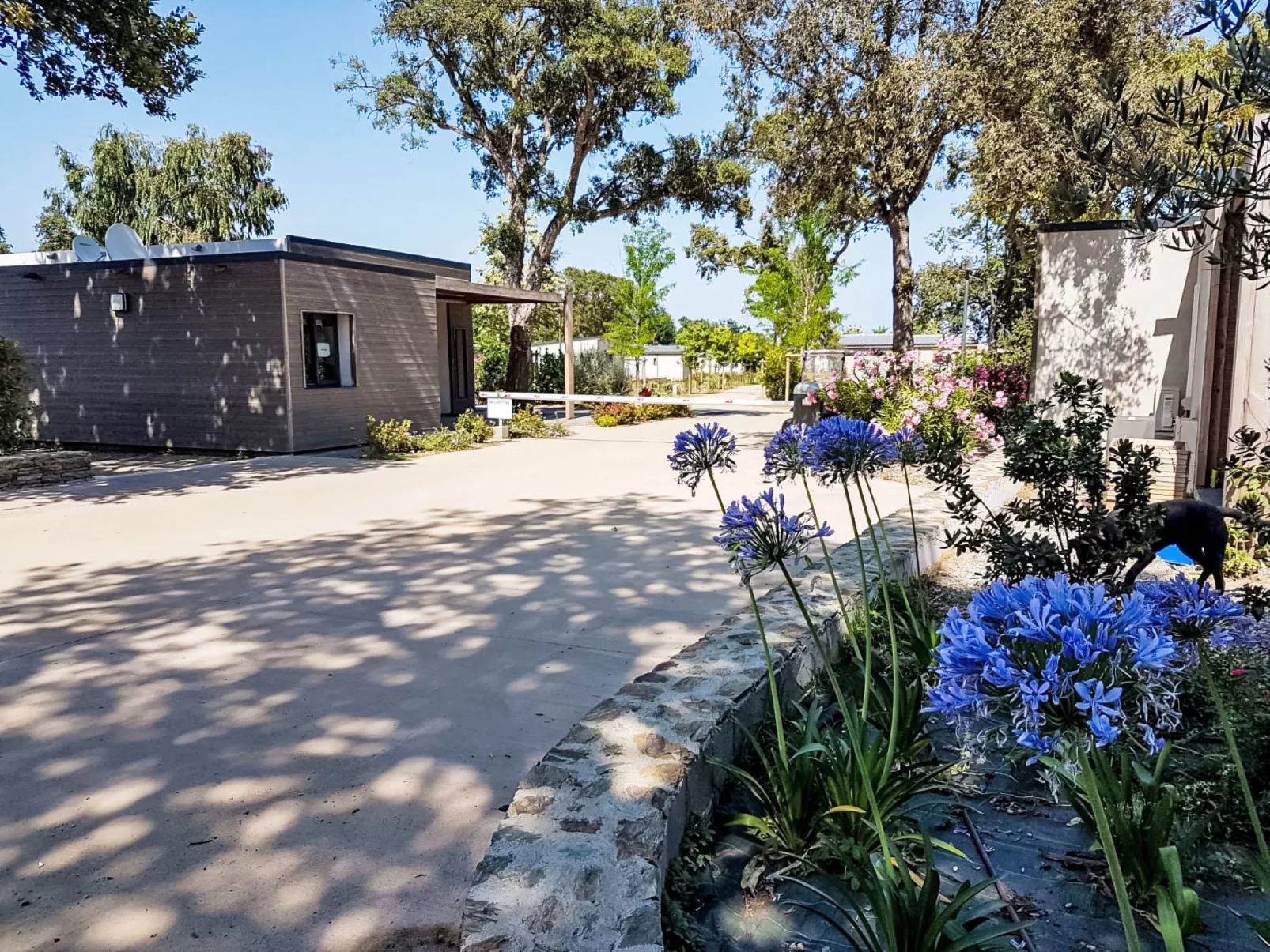 Lodge Premium 5p - Outside