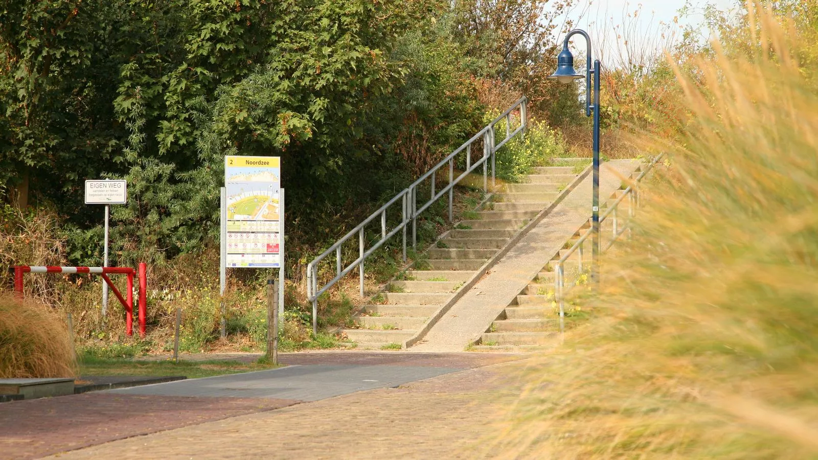 Maanvis-Gebiete Sommer 1 km