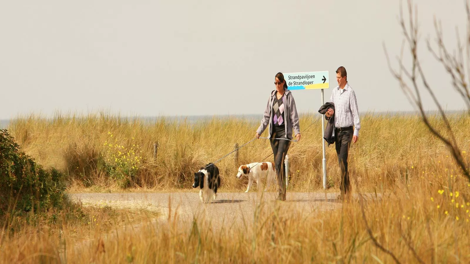 Maanvis-Gebiete Sommer 1 km