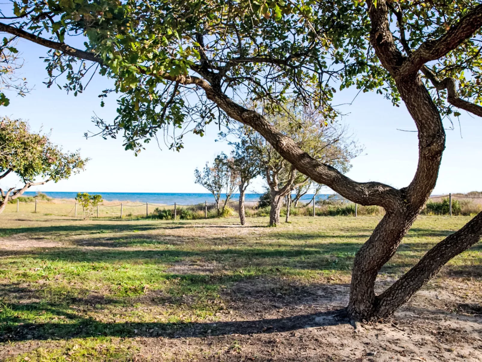 Lodge Natura 6p - Outside