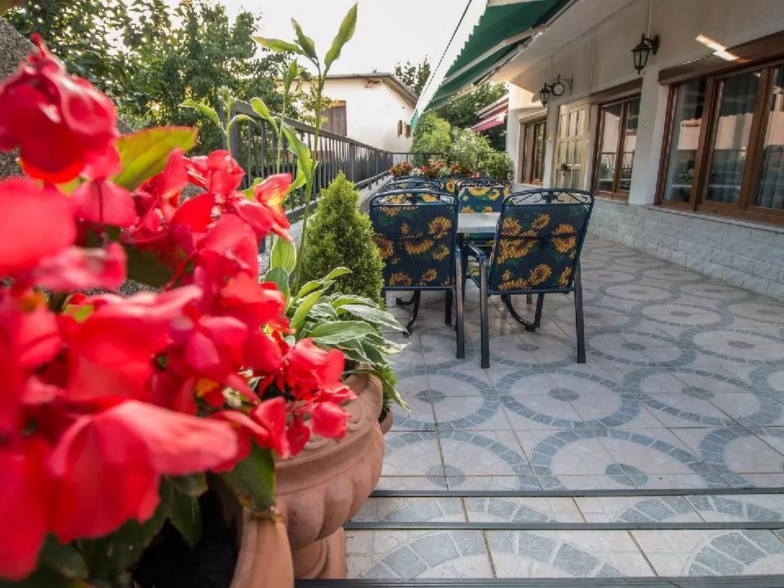 Ivanka1 - Image-tags.info