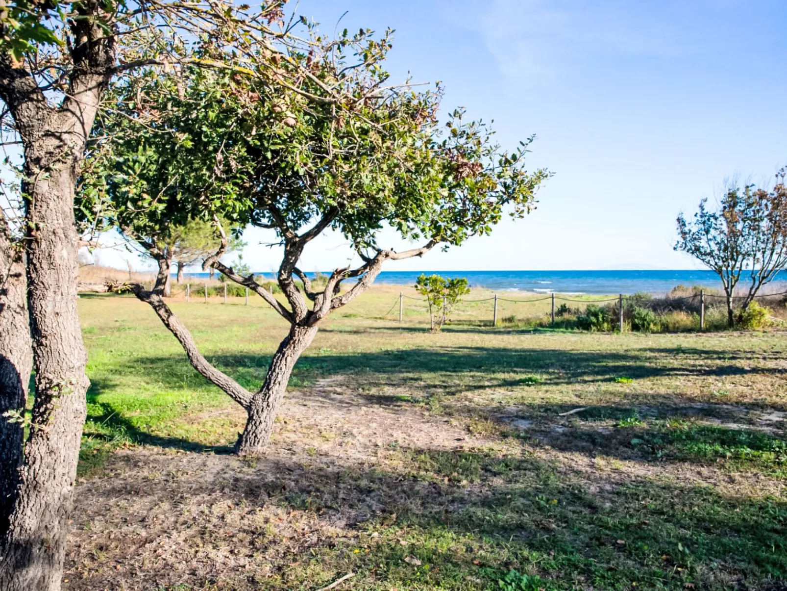 Lodge Natura 6p - Outside