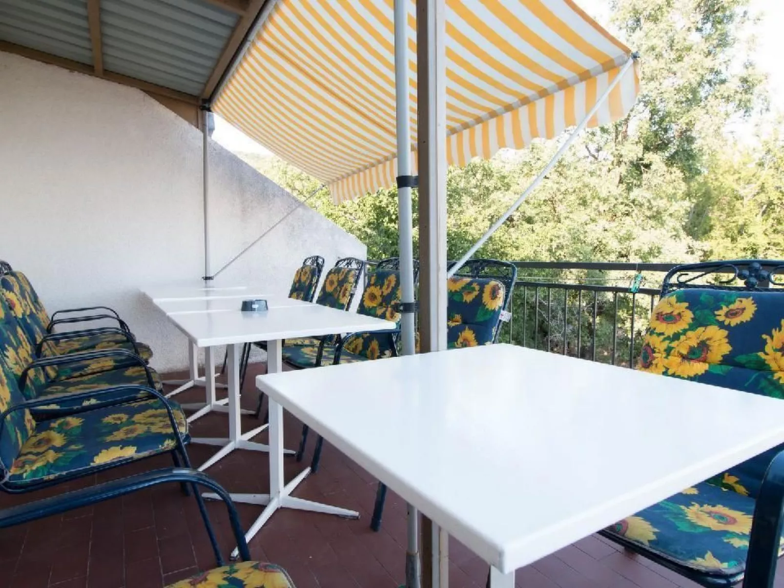 Ivanka2 - Image-tags.info