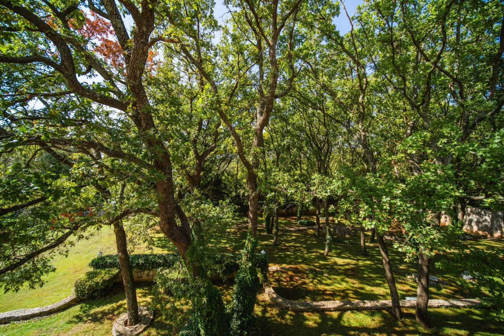 Villa Teresy - Gardens in summer