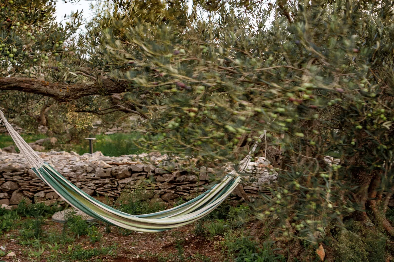 Adriatic Heritage Glamping No 1 - Gebiete Sommer 1 km