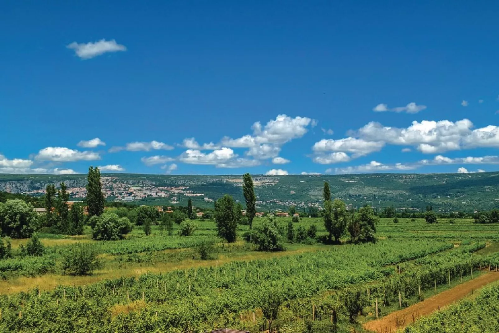 Villa Vinis Terra - Gebiete Sommer 5 km