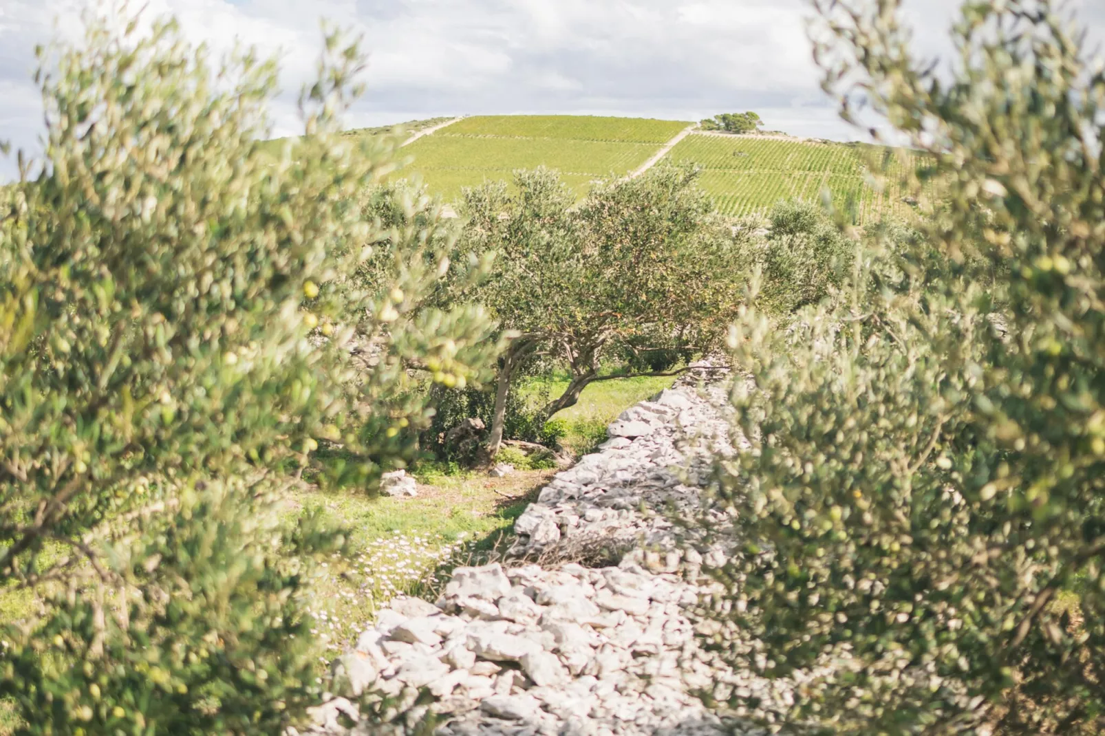 Adriatic Heritage Glamping No 1 - Gebiete Sommer 5 km