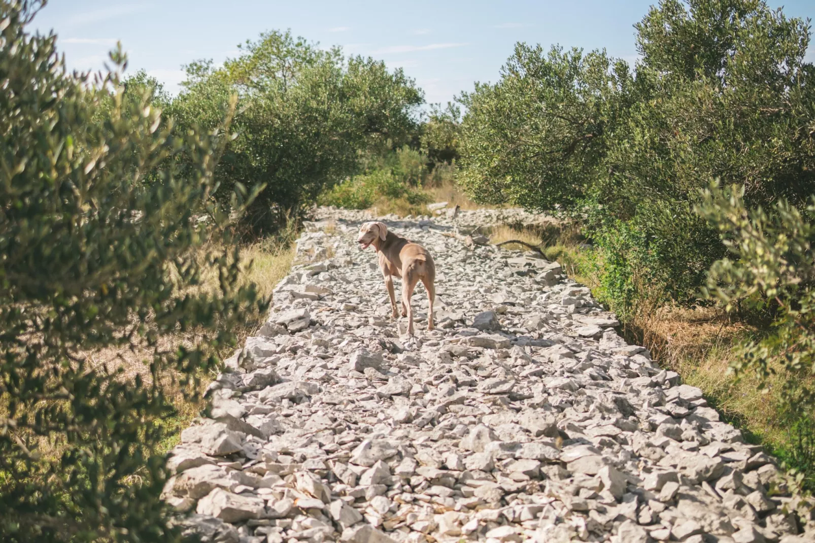 Adriatic Heritage Glamping No 1 - Gebiete Sommer 5 km