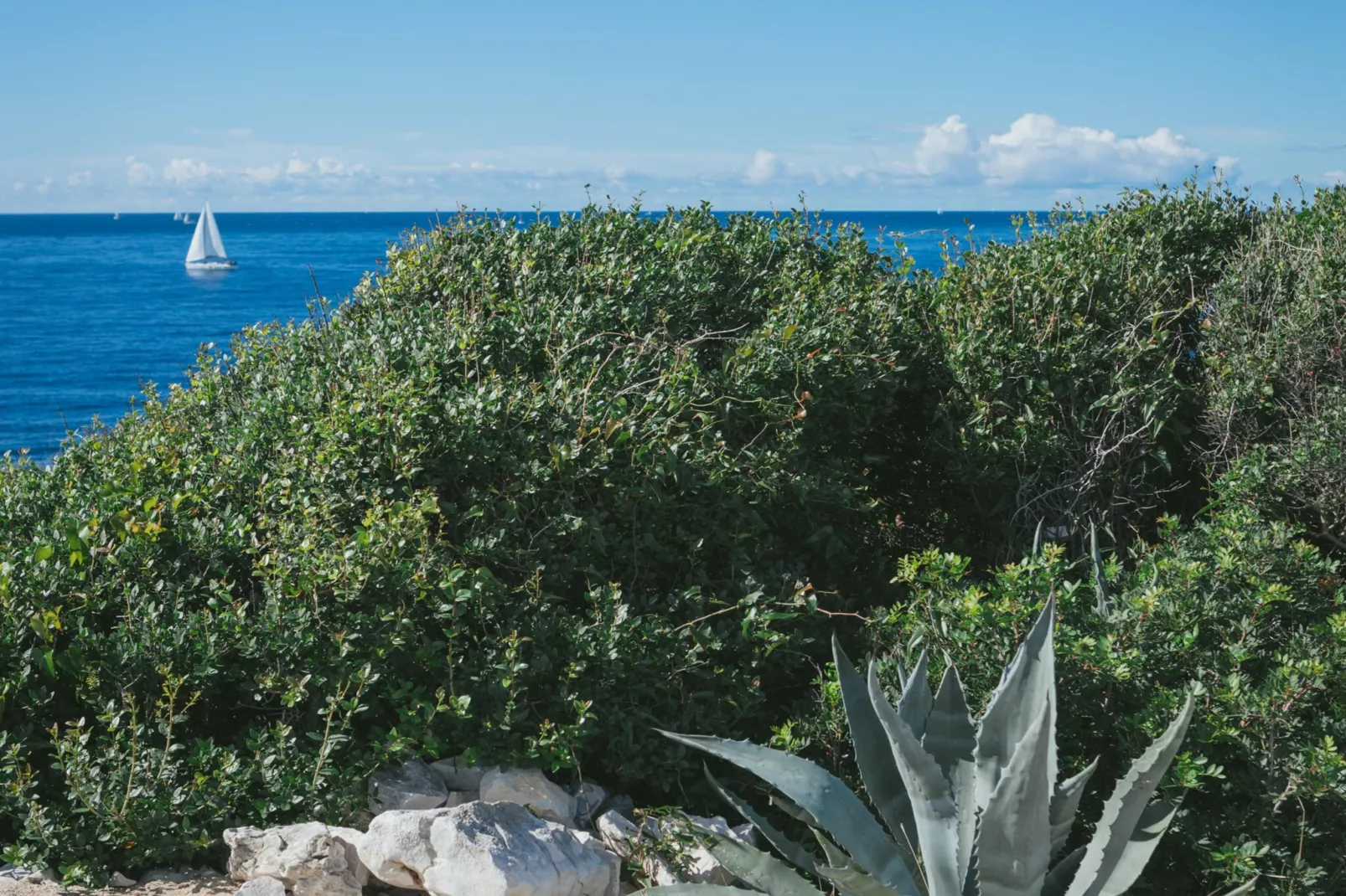 Adriatic Heritage Glamping No 1 - Gebiete Sommer 5 km