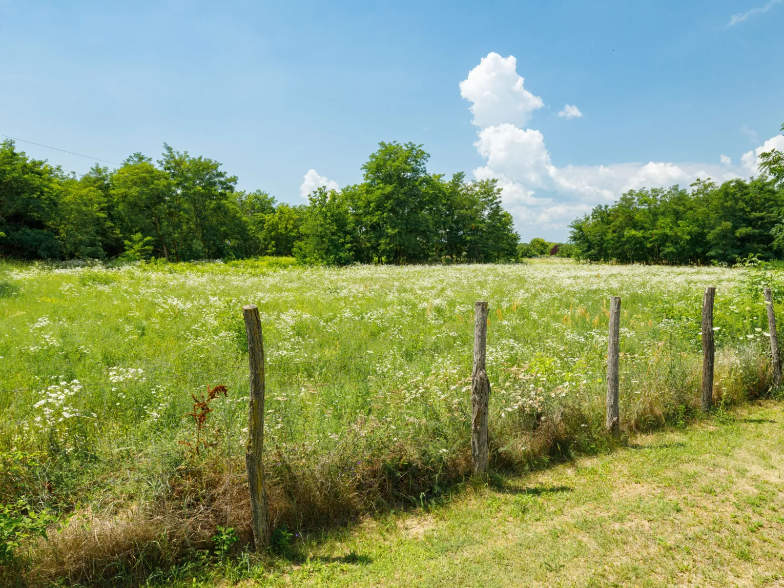 Aschbacher - Outside