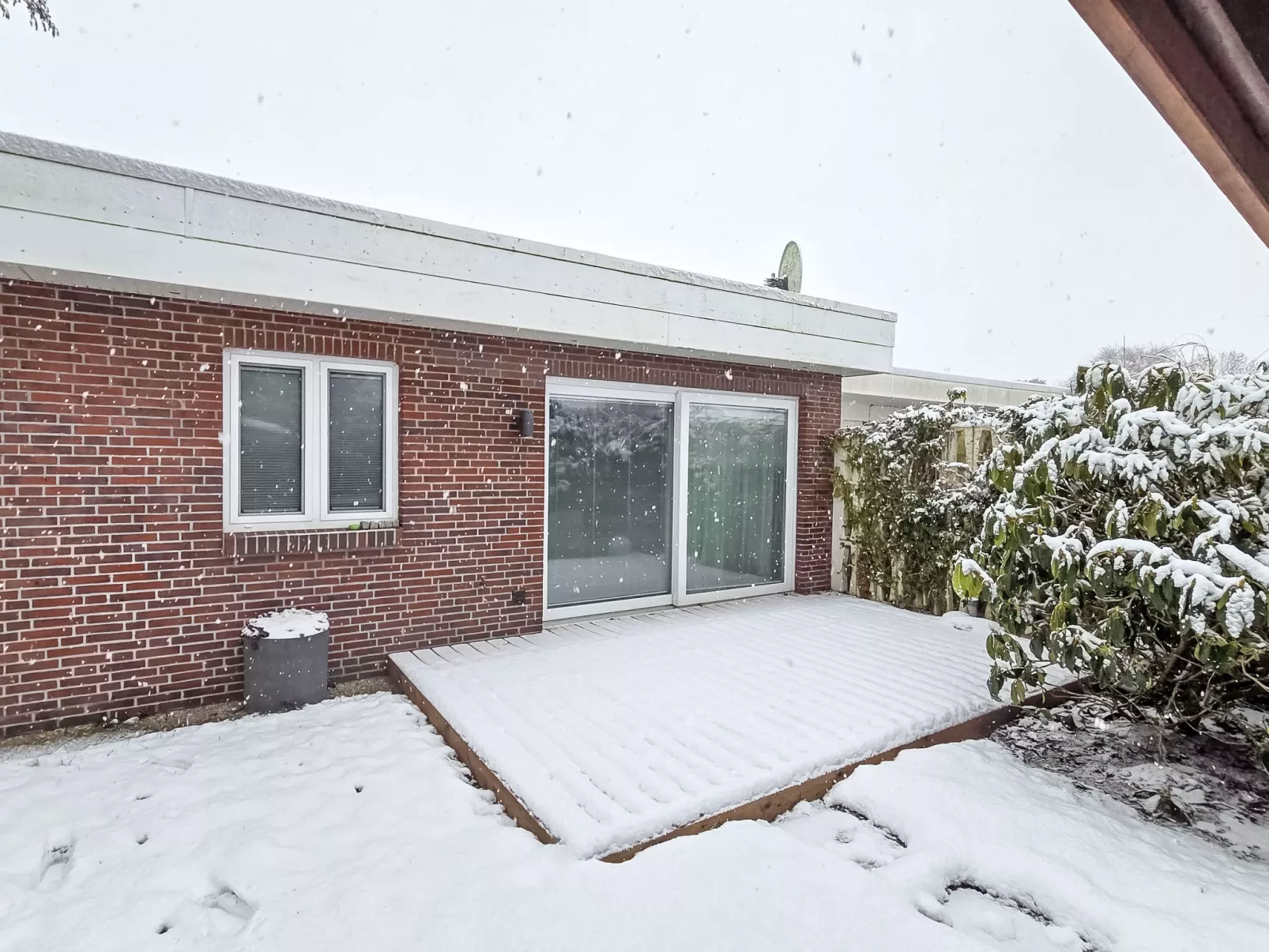 Kegelrobbe - Outside