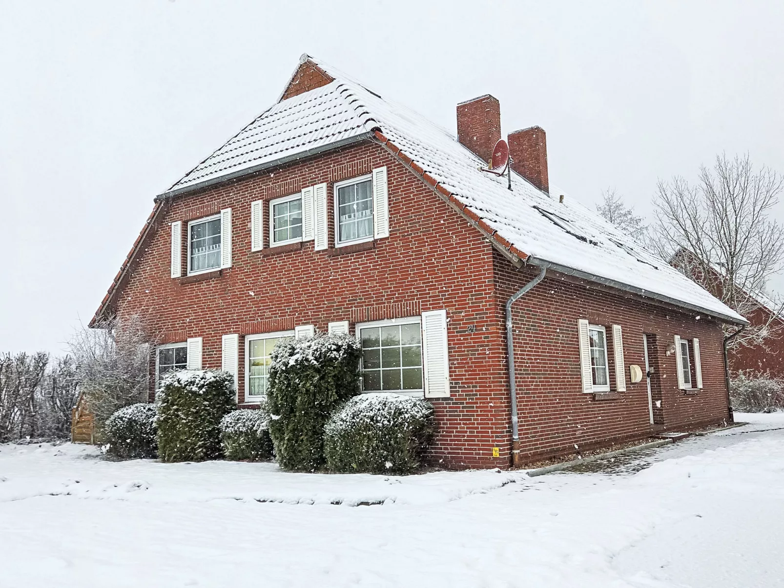 Seepferdchen - Draußen