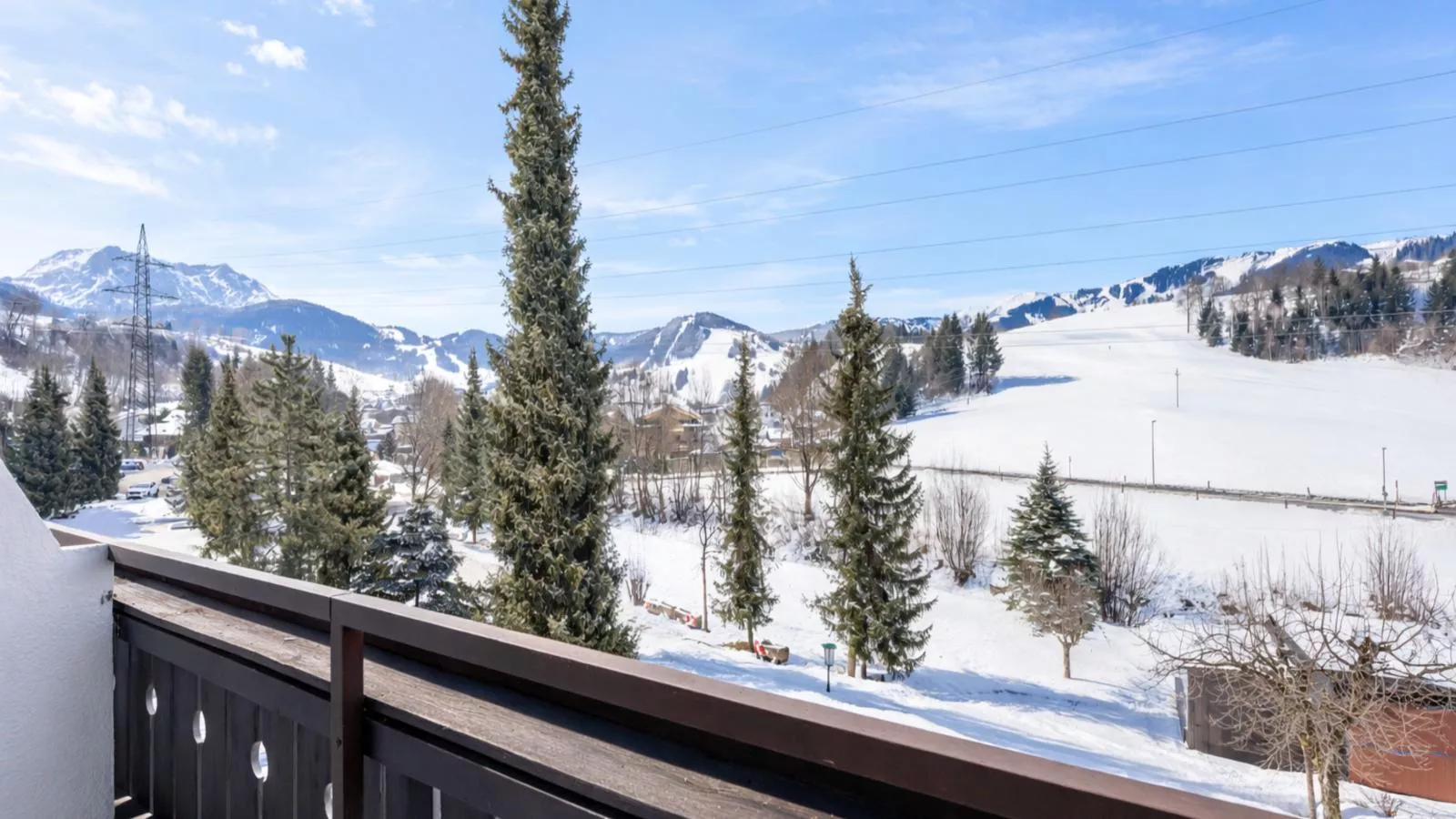 Hinterreitblick - Terrace balcony