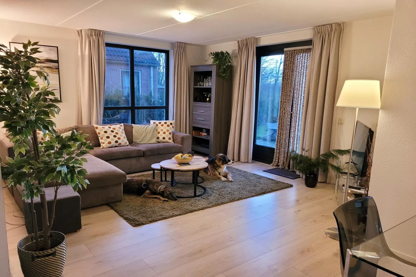 6 - Person Forest Pet & Family Bungalow