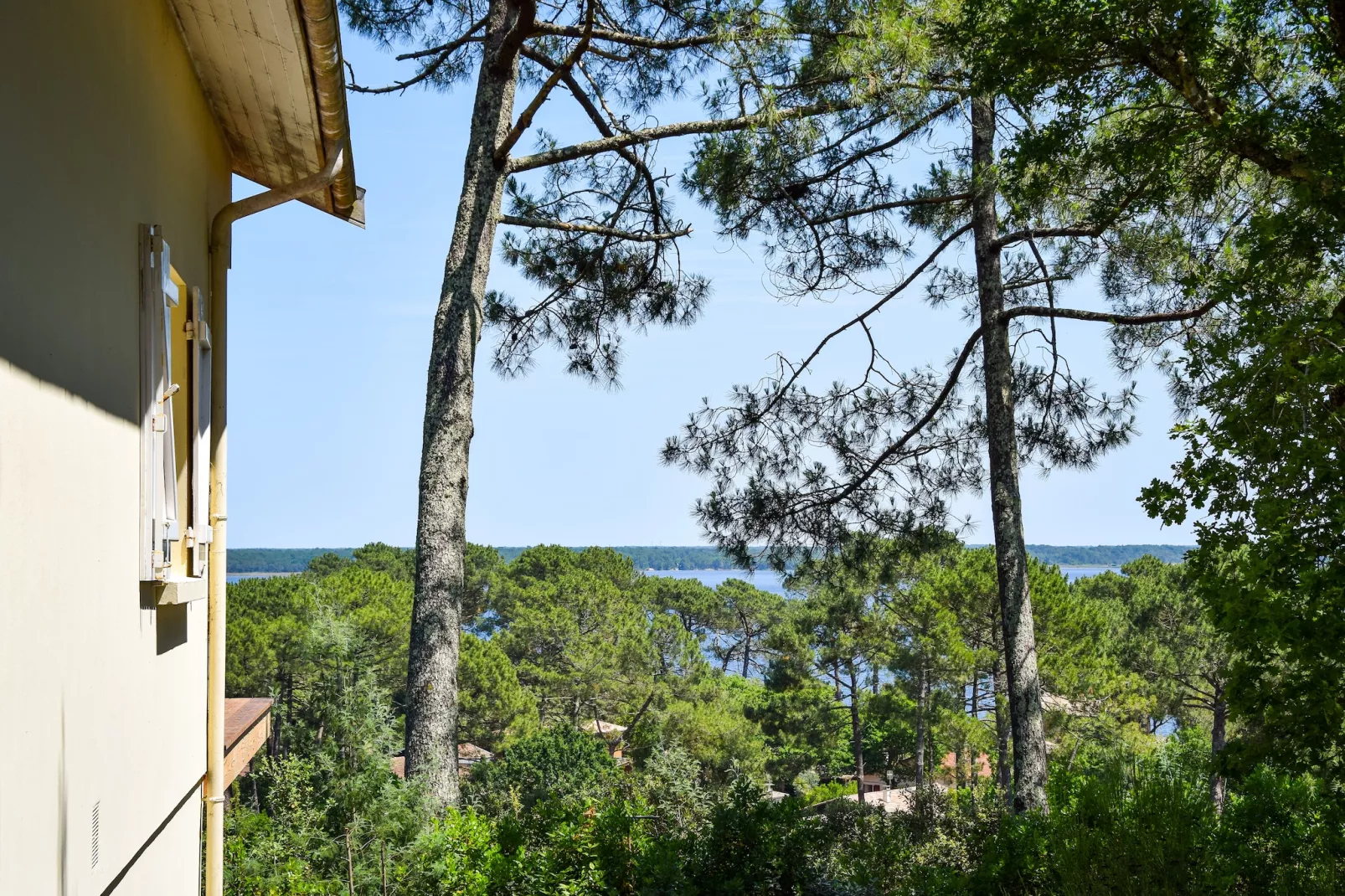 Villa Bellevue - Exterior in summer