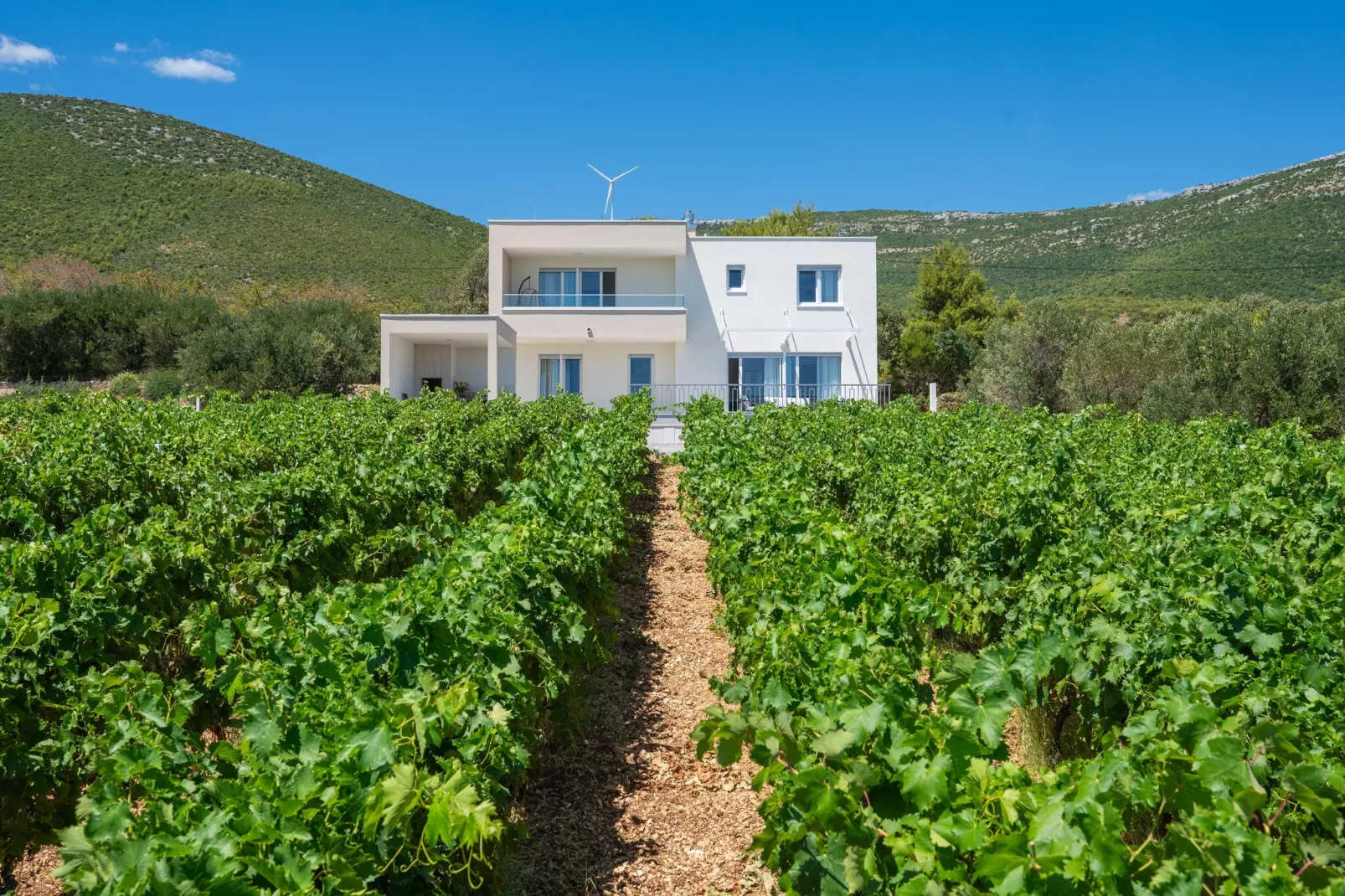 VILLA VISTA VINEA - Außenbereich Sommer