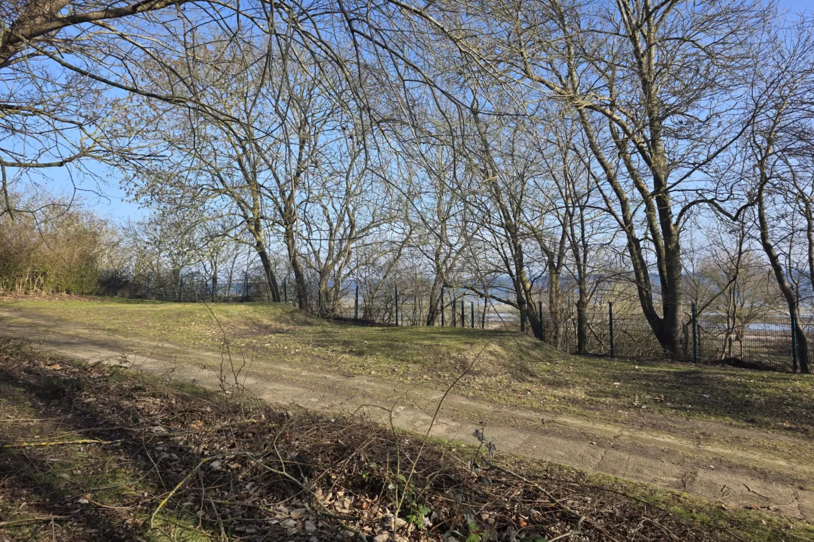 Ferienpark an der Ostsee - FH am Badestrand - Aussicht Sommer