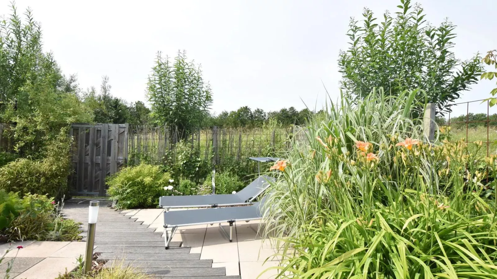 Duinzicht II - Garten Sommer