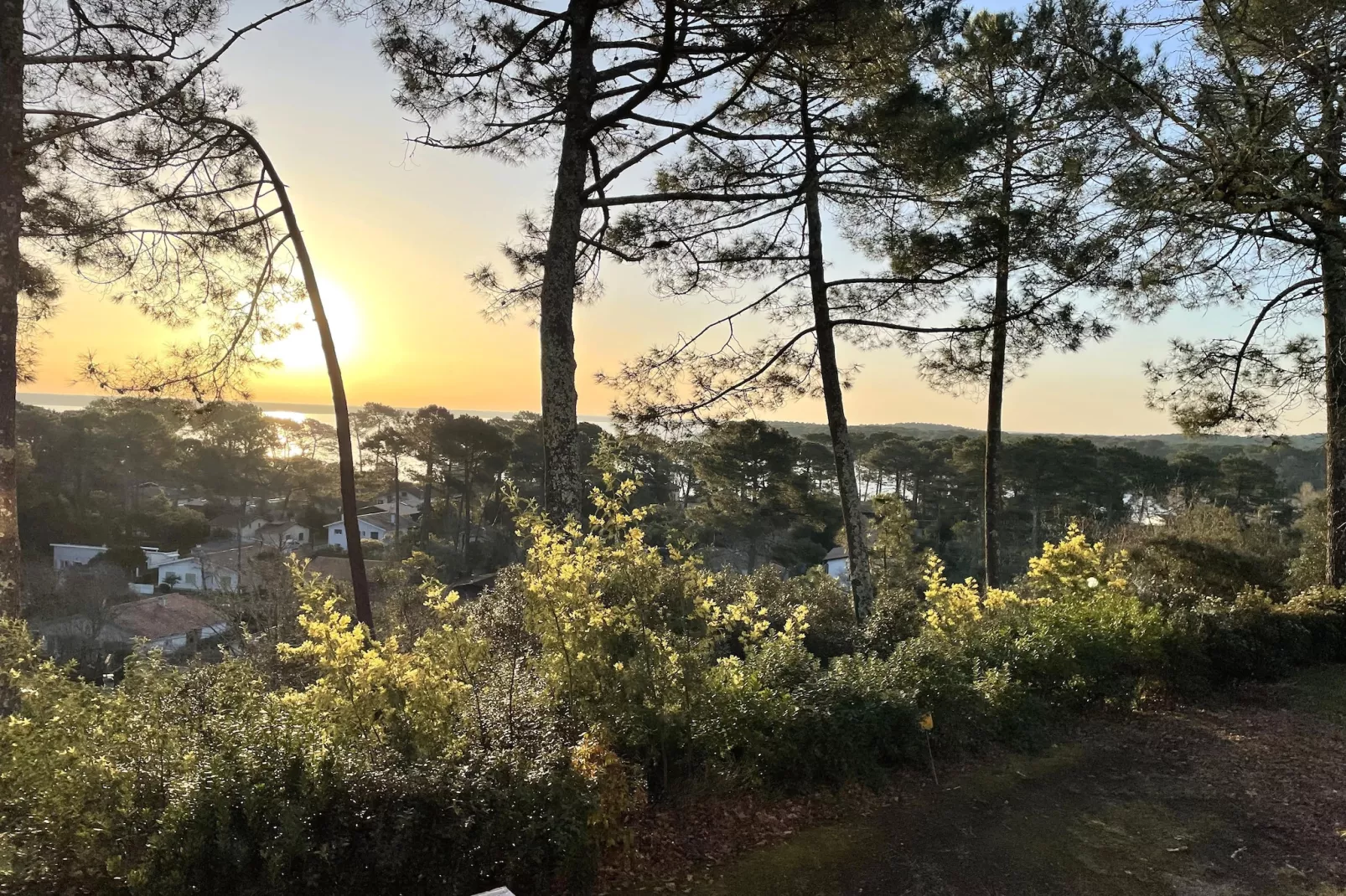 Villa Bellevue - View in summer