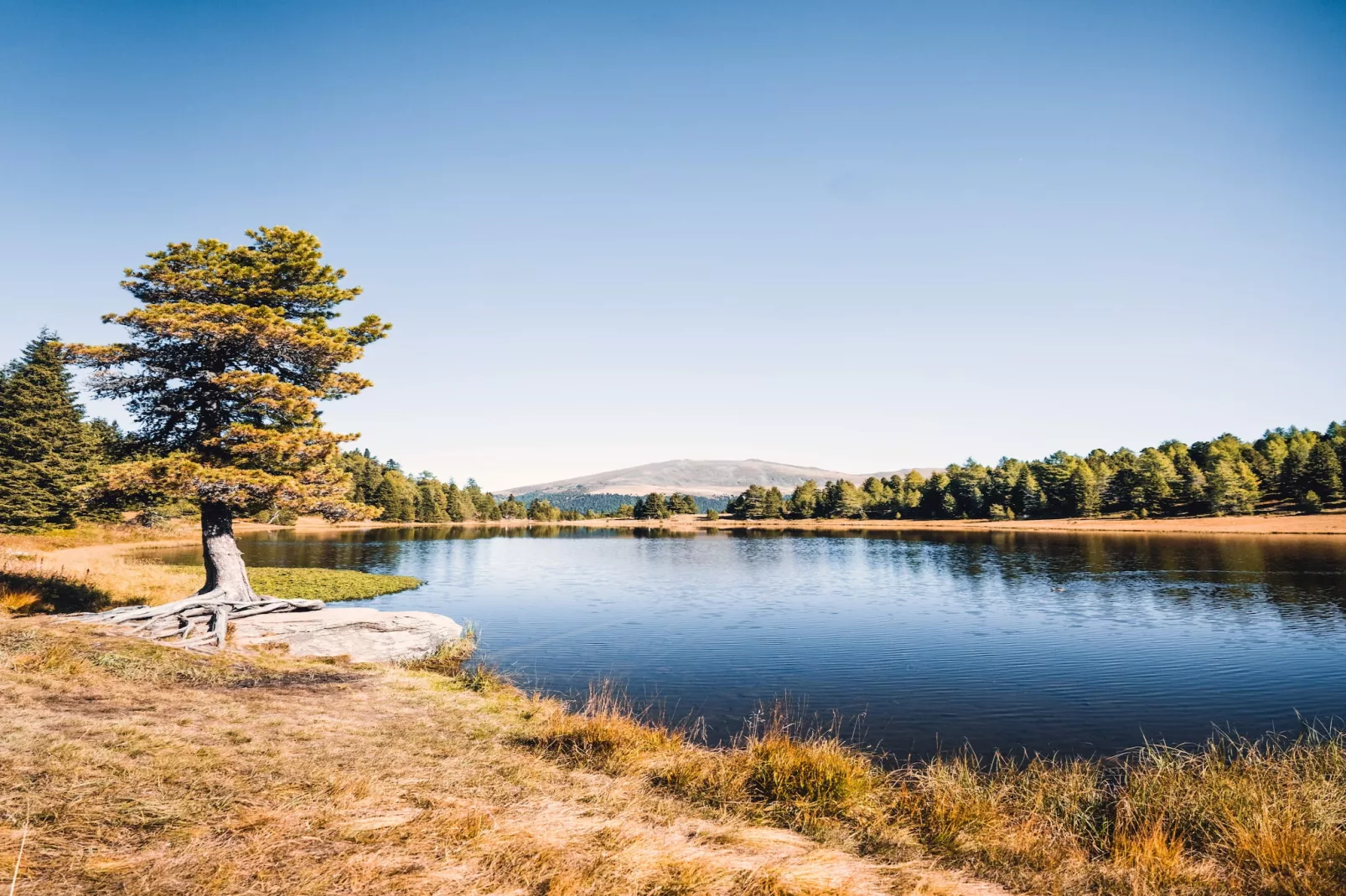 Naturchalets Turracher Höhe 31 - Extérieur