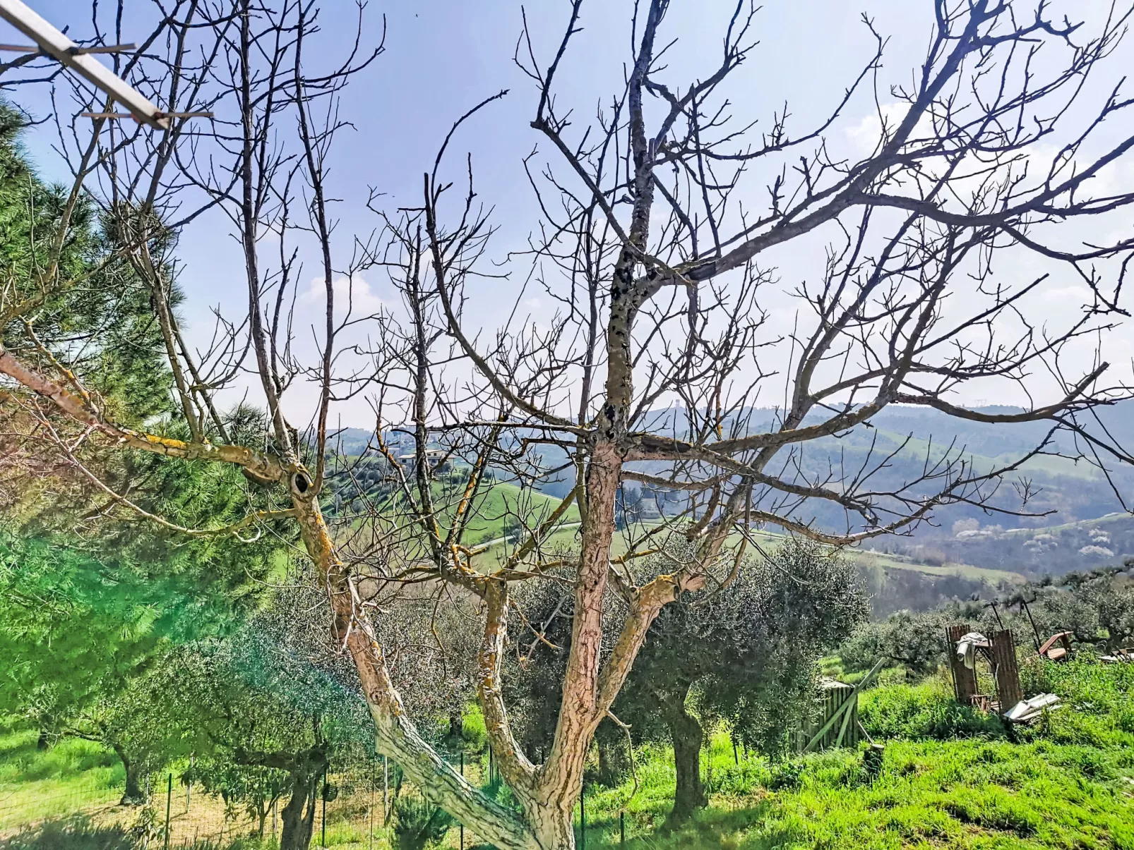 Velia's House - Draußen