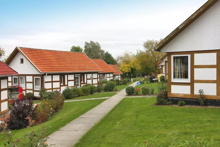 Ferienpark an der Ostsee - Typ 4 - Garten Sommer