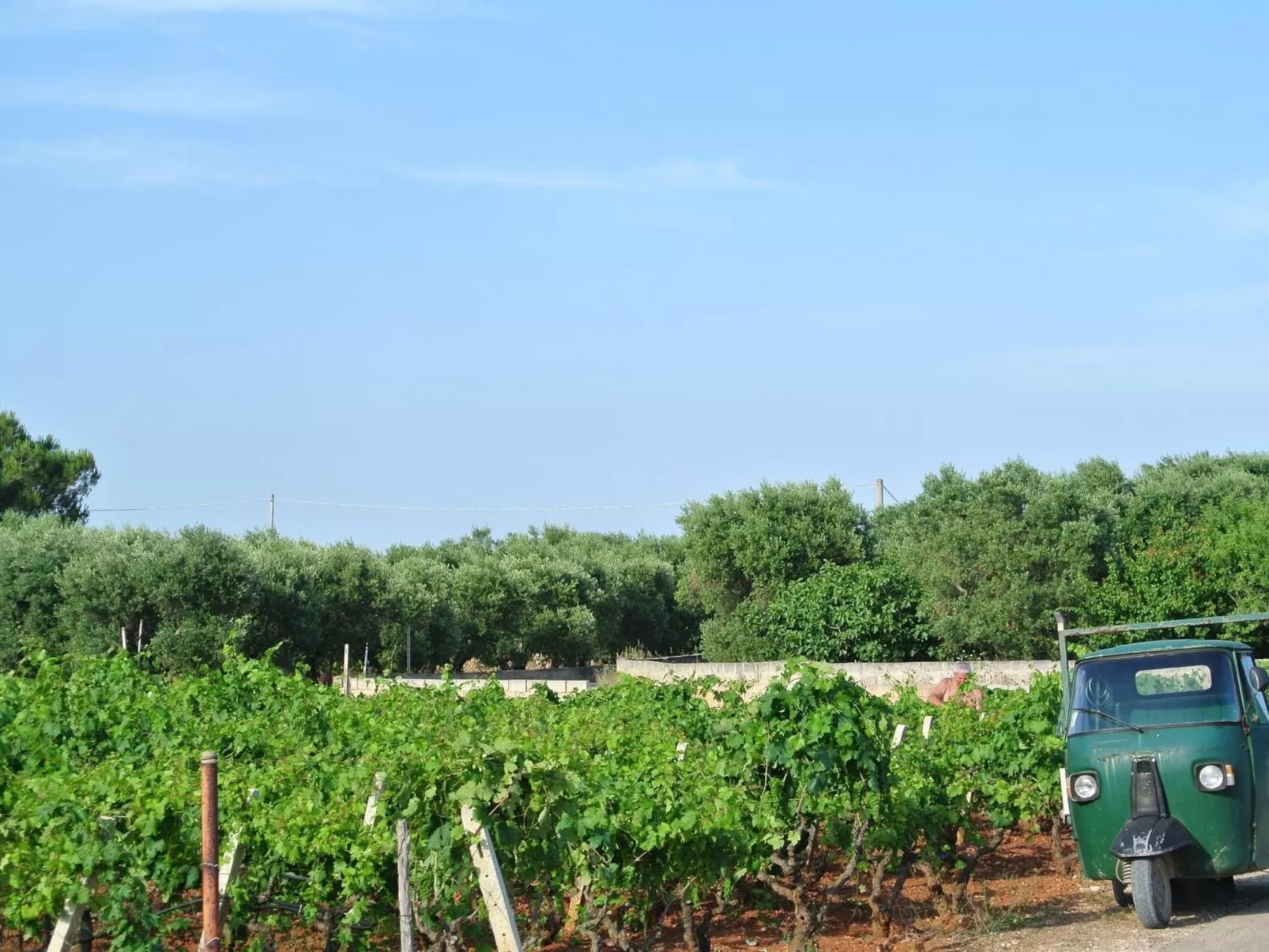 Villetti Trullissimo - Image-tags.info