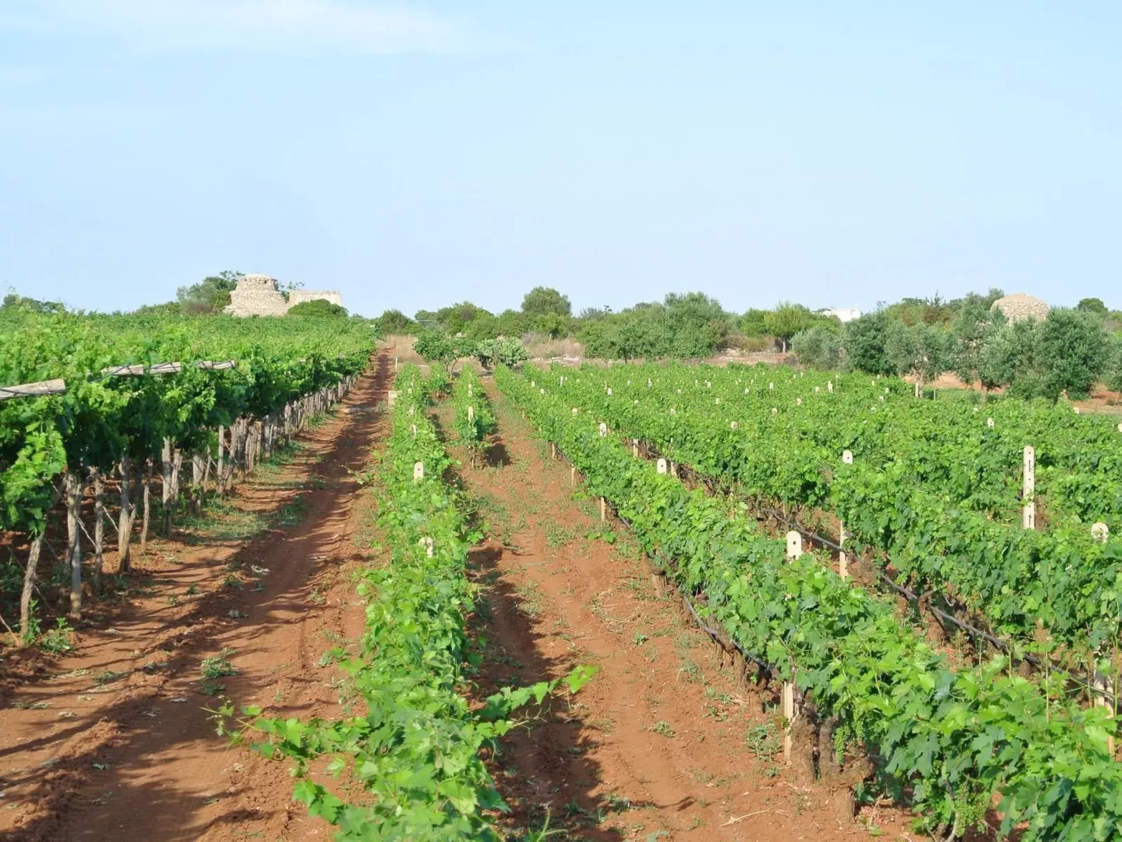 Villetti Trullissimo - Image-tags.info