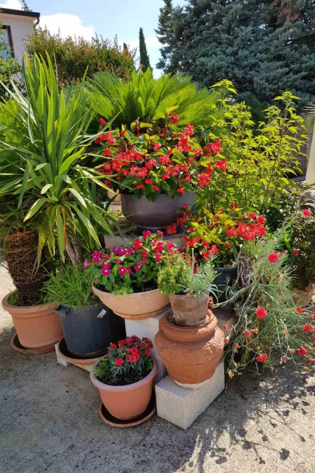 Appartement Silvy 3 in einem Steinhaus im istris - Image-tags.info