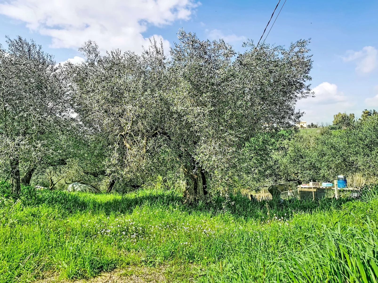 Velia's House - Draußen