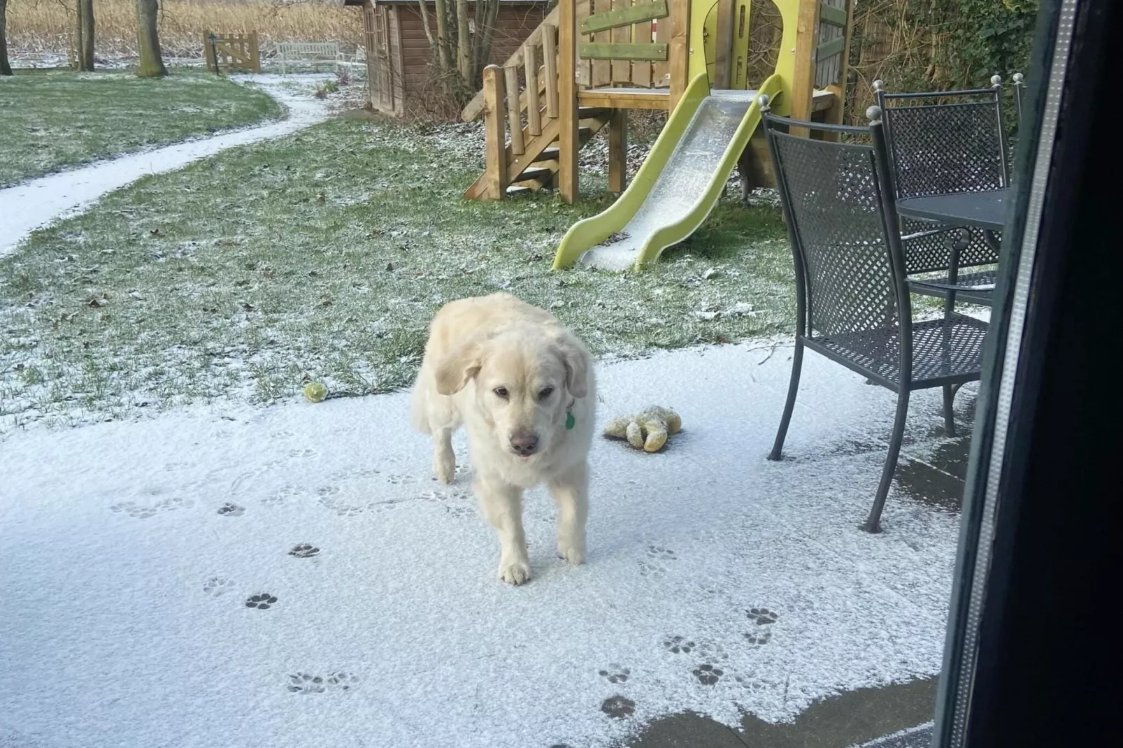 6 - Person Forest Pet & Family Bungalow - Gebiet Winter 1 km