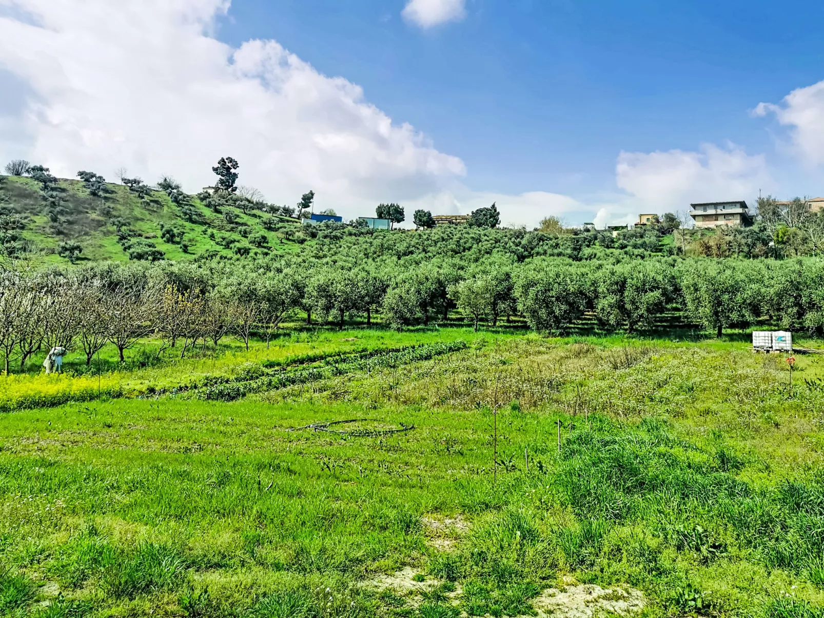 Velia's House - Draußen