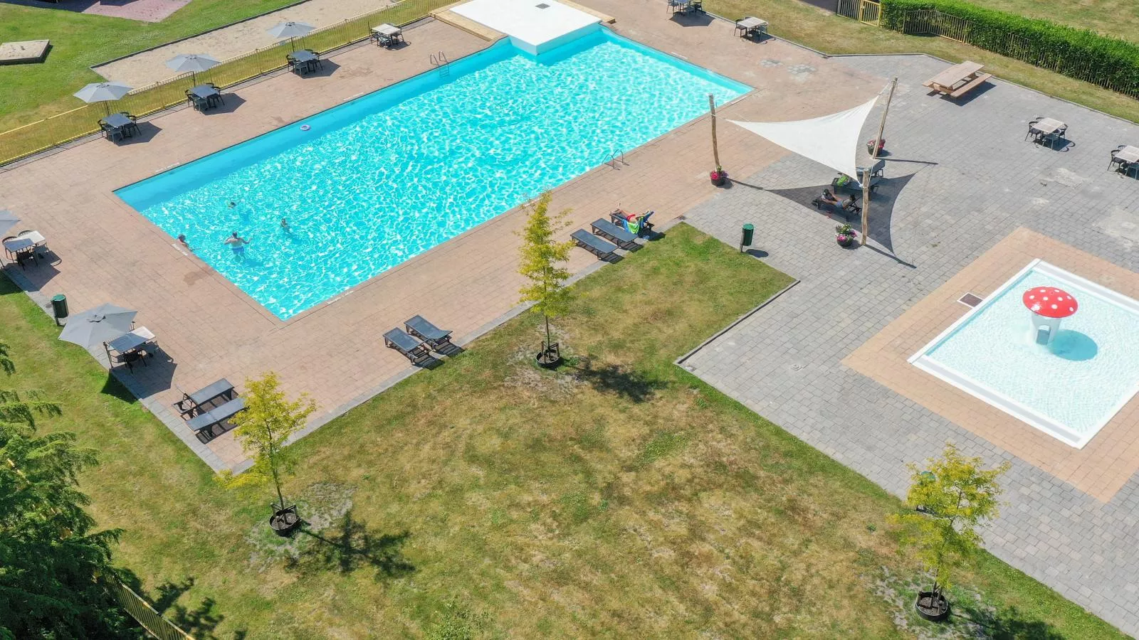 Safarilodge - Swimming pool