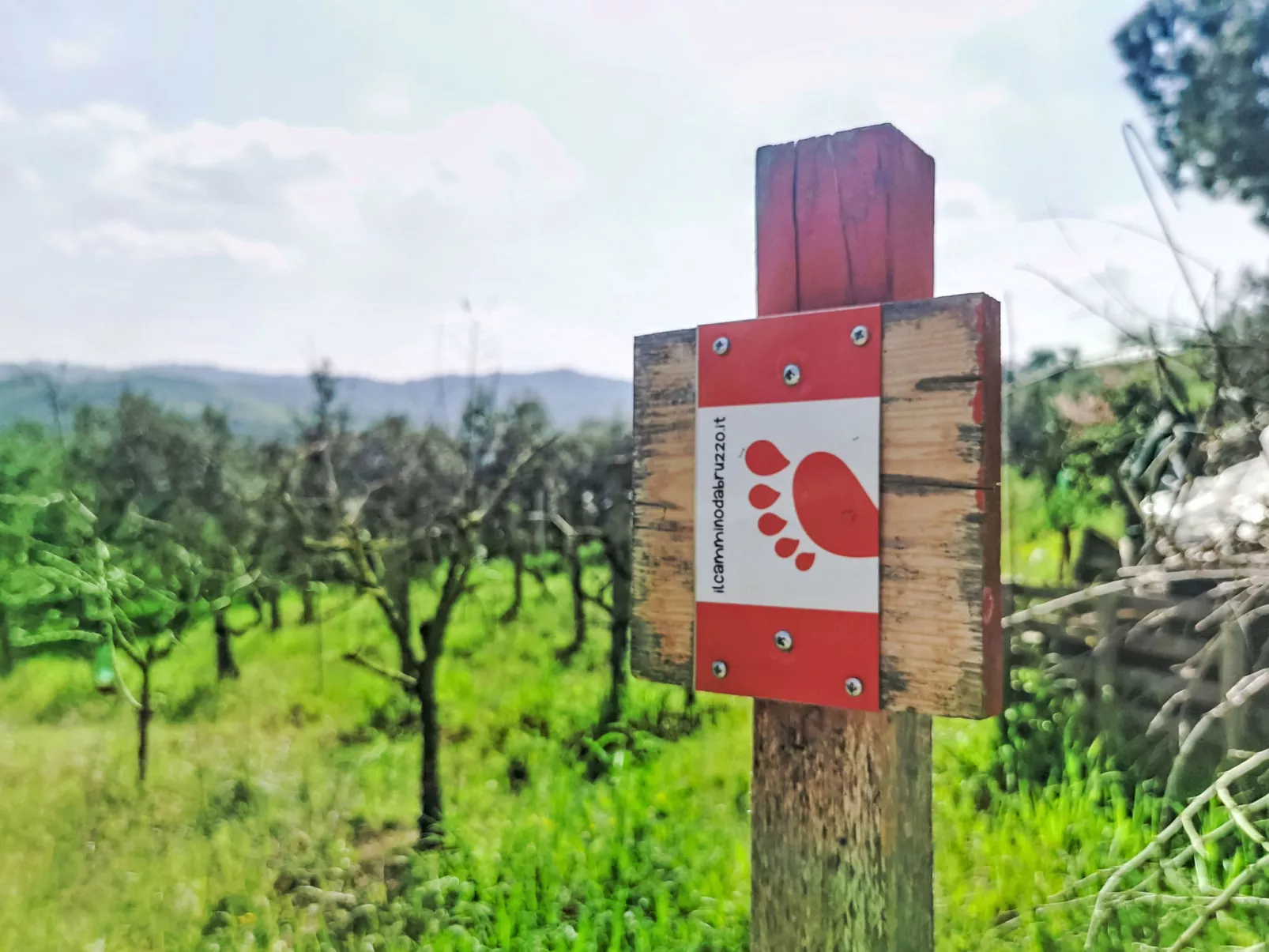 Velia's House - Draußen