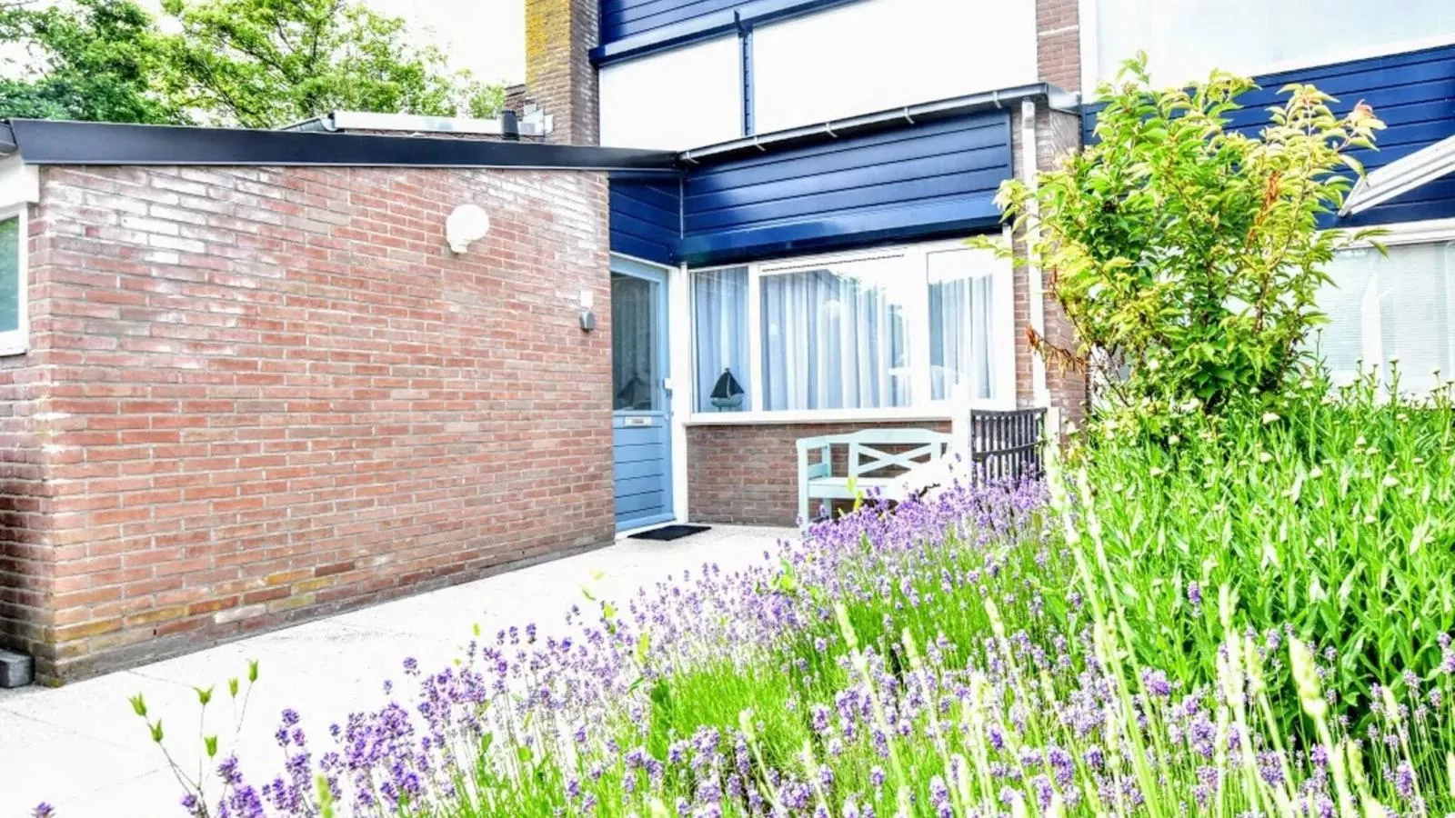 Duinzicht II - Außenbereich Sommer