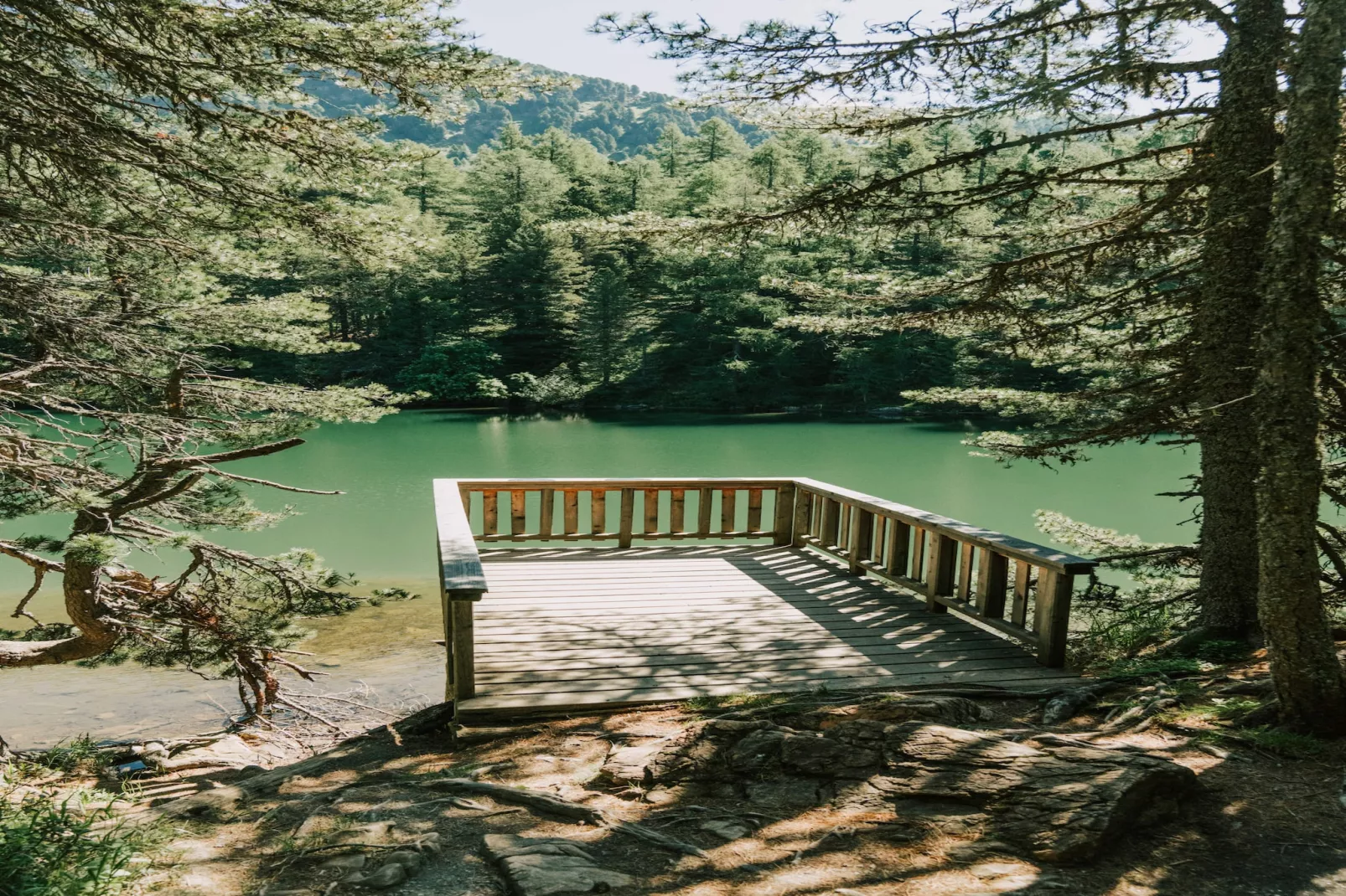 Naturchalets Turracher Höhe 31 - Extérieur