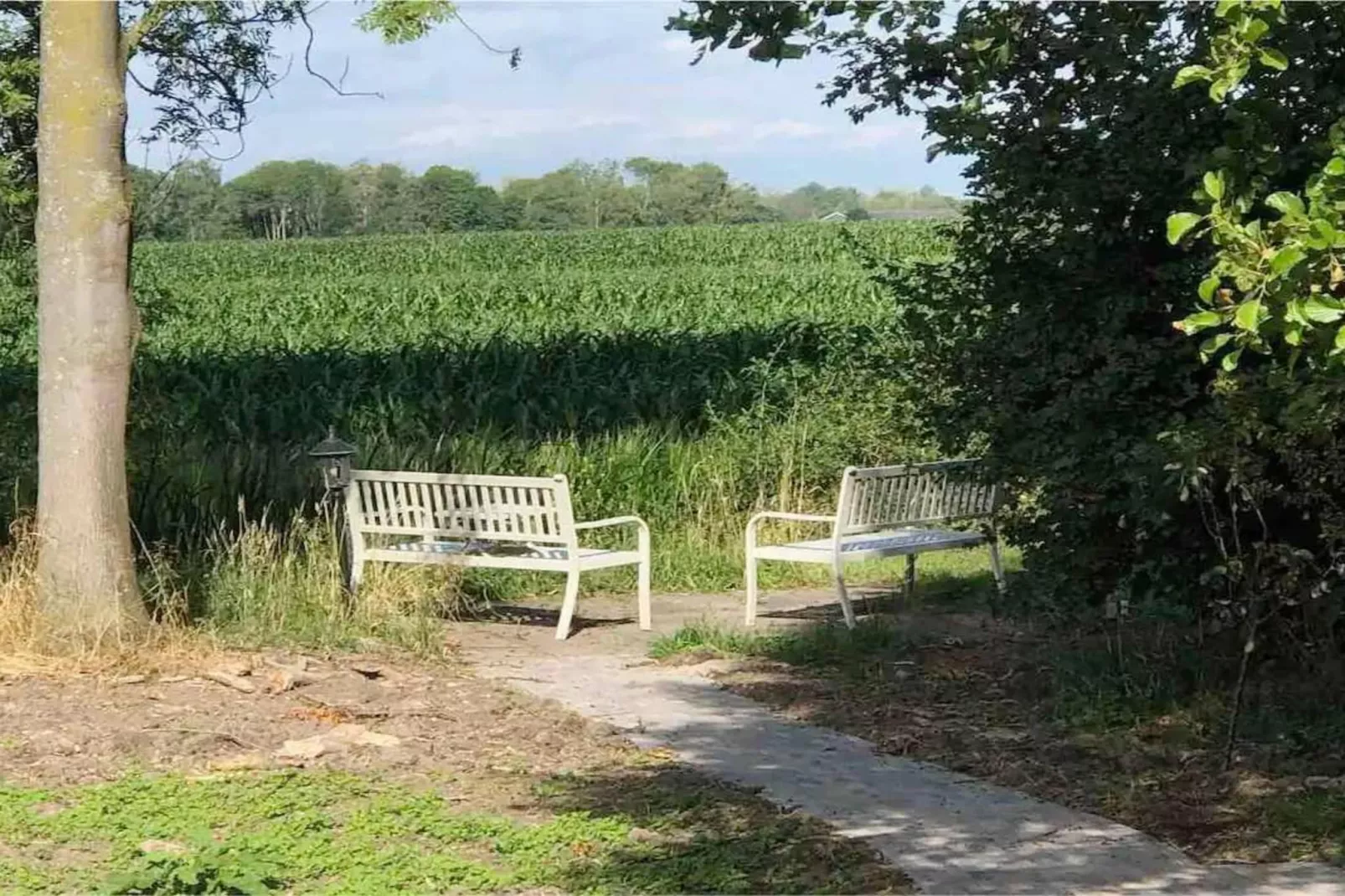 6 - Person Forest Pet & Family Bungalow - Gebiete Sommer 5 km